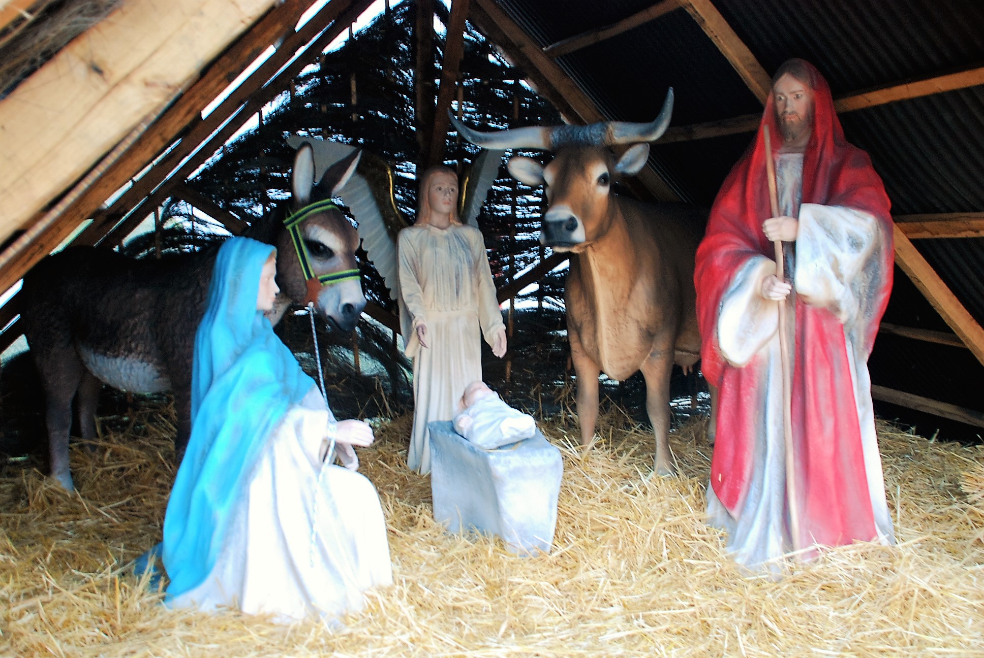  "Terra Natal e de Sonhos"