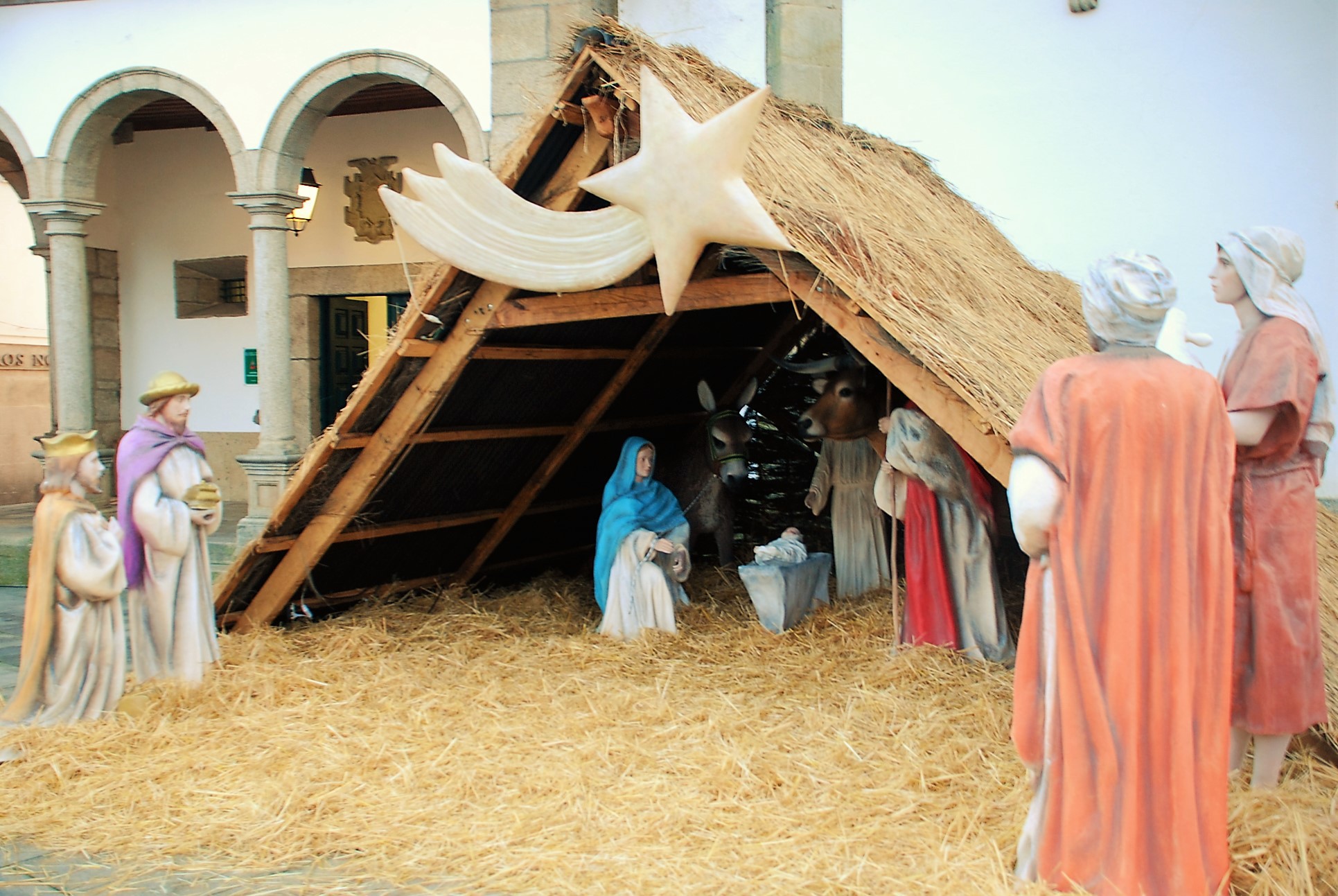  "Terra Natal e de Sonhos"