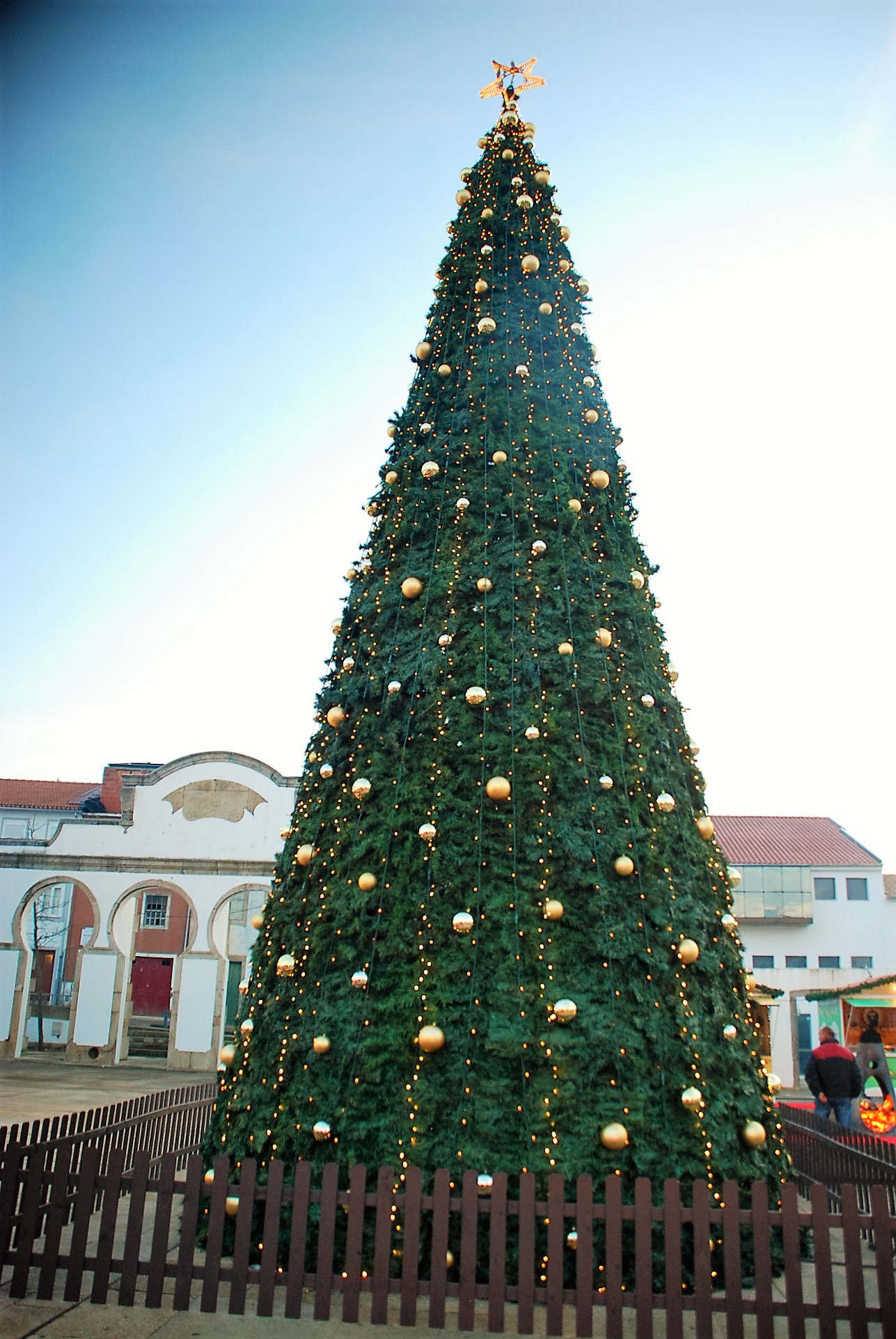  "Terra Natal e de Sonhos"