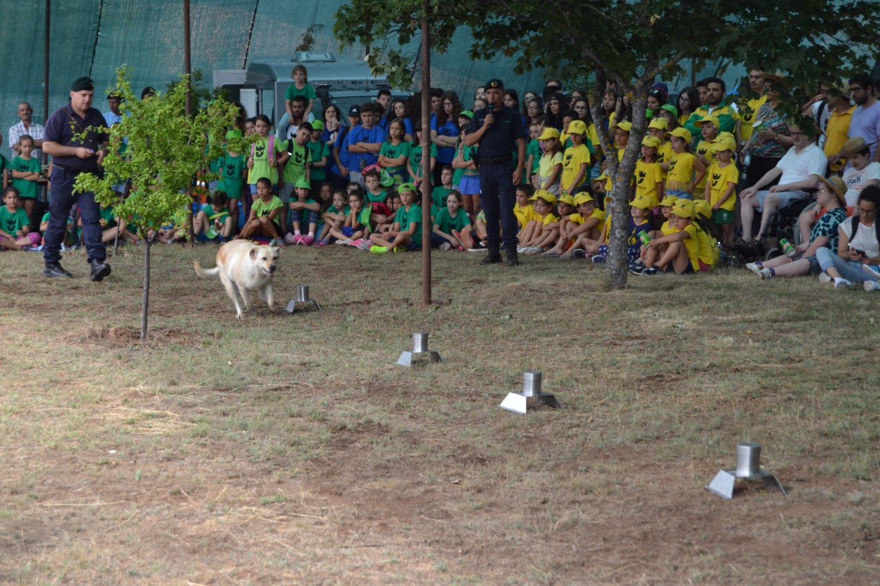  "Open Day" GNR Bragança