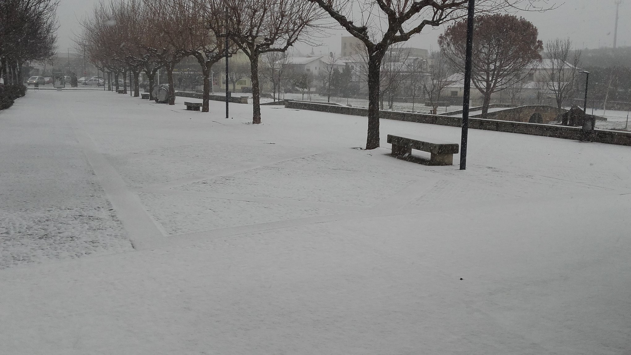  Nevão em Trás-os-Montes