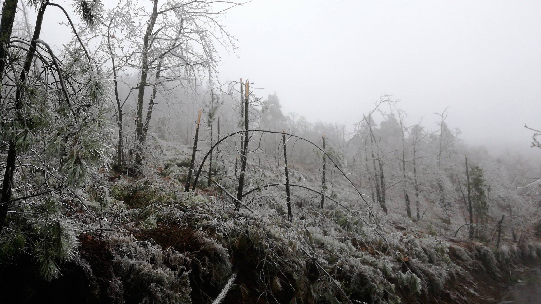  Nevão em Trás-os-Montes