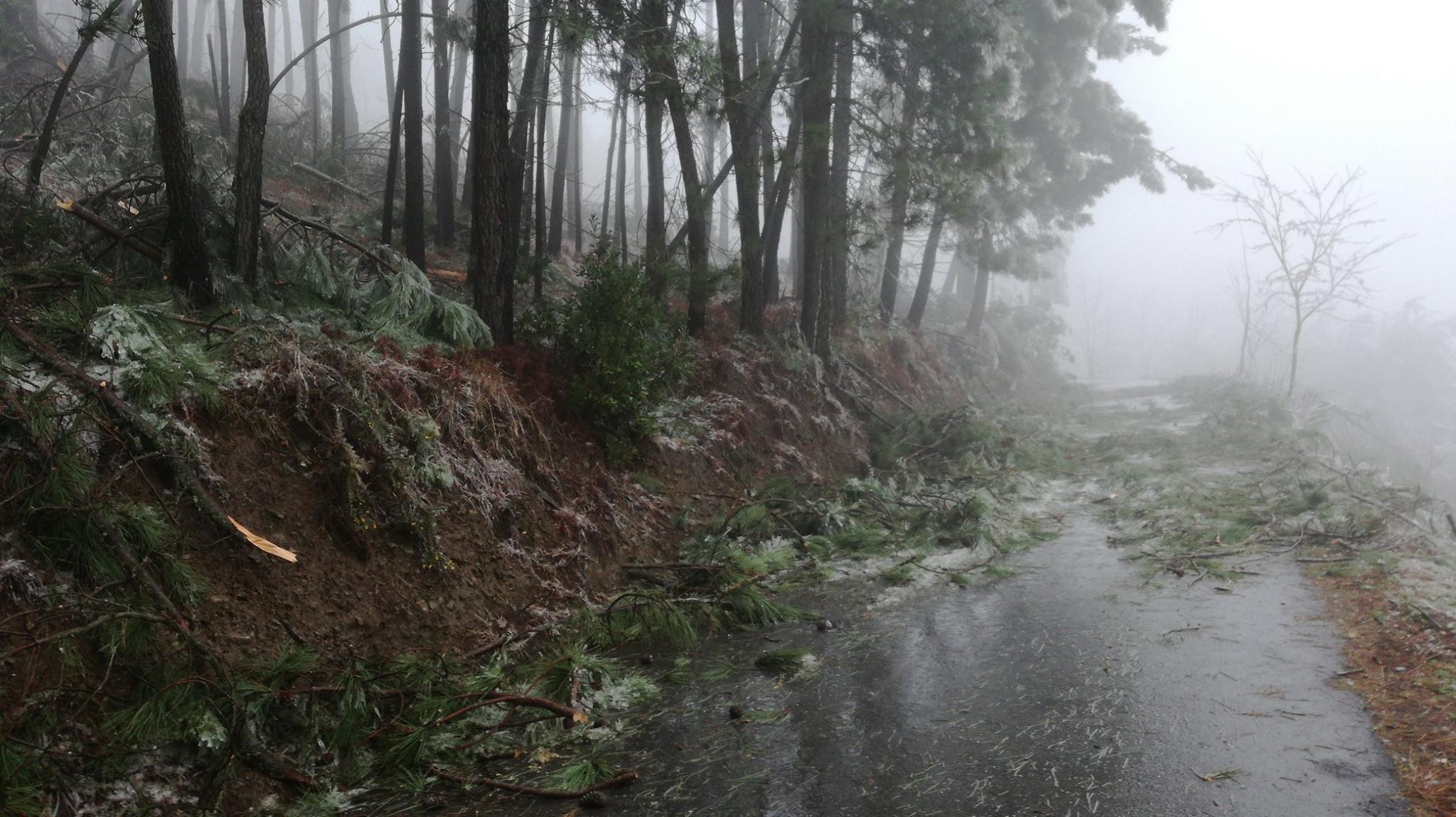  Nevão em Trás-os-Montes