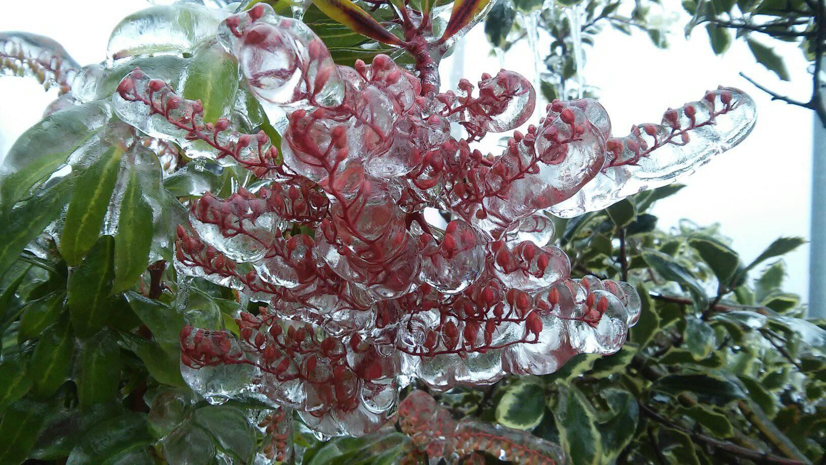  Nevão em Trás-os-Montes