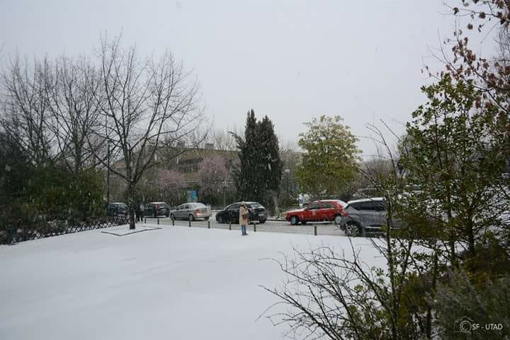  Nevão em Trás-os-Montes