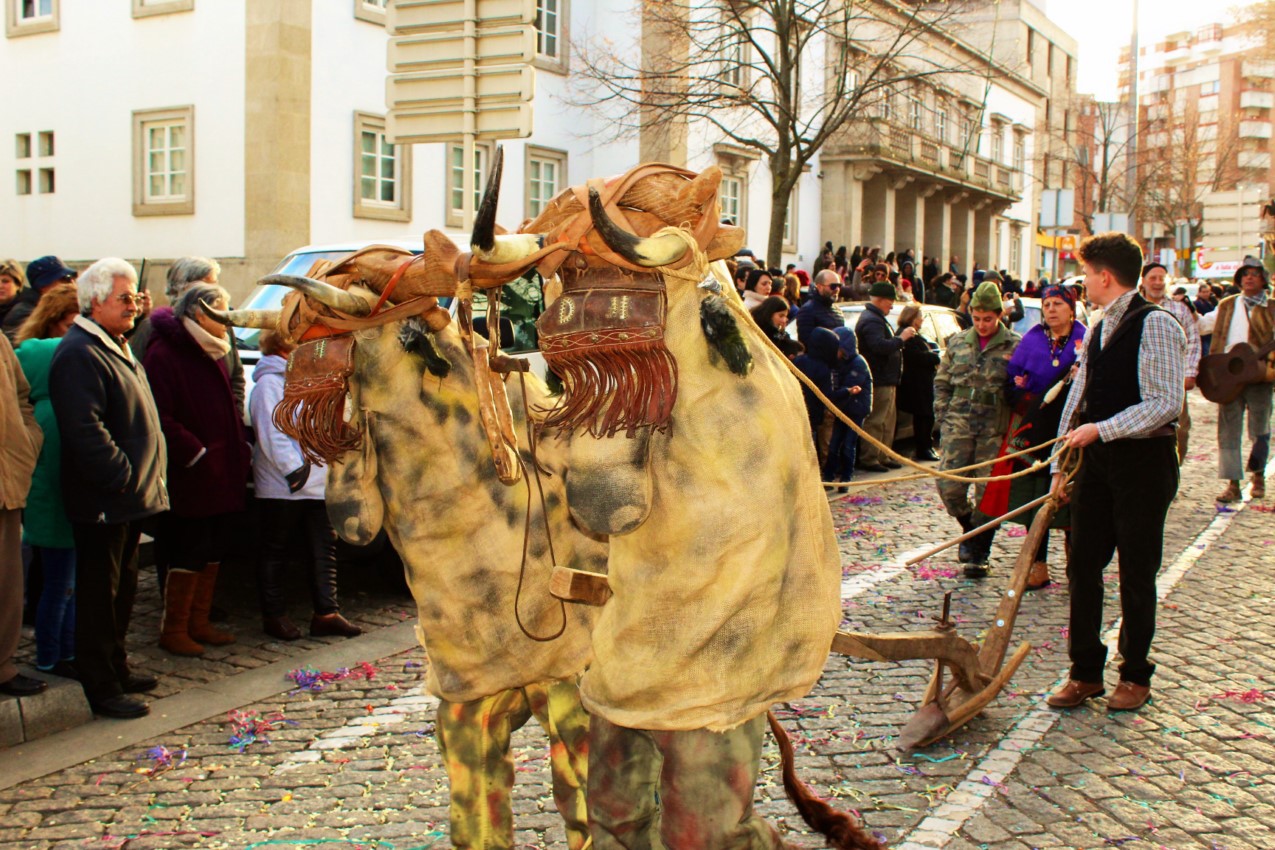  Carnaval dos Caretos 2018