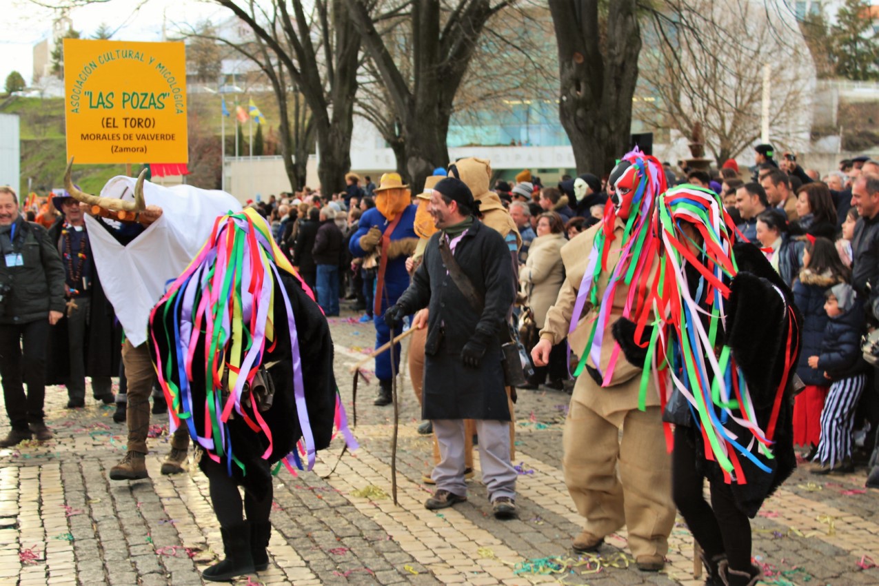  Carnaval dos Caretos 2018