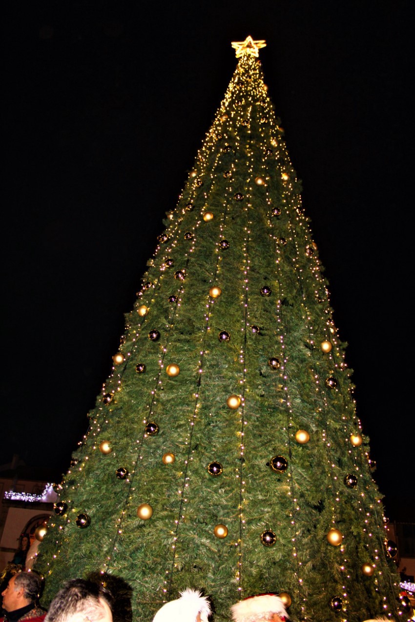  Terra Natal e de Sonhos 2016