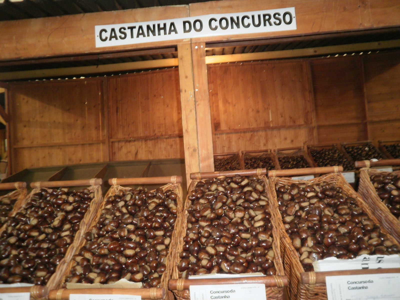 Fábrica de transformação de castanha em Carrazedo Montenegro