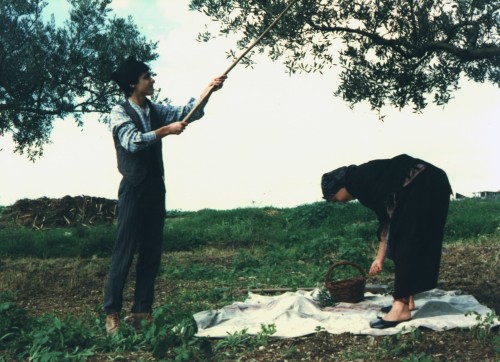 «Métrica sete por sete»