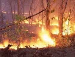 Duas semanas 500 incêndios