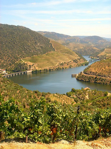 «I Douro You»