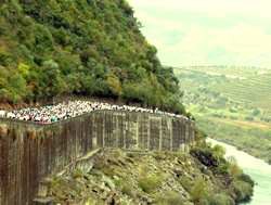 Meia Maratona do Douro Vinhateiro