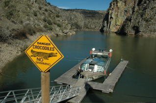 Crocodilos no Rio Douro