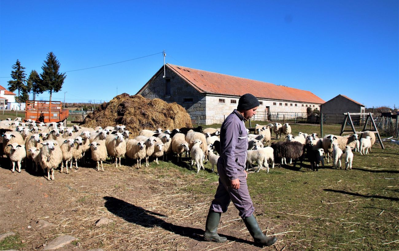 Agricultores do Planalto Mirandês apreensivos com falta de água