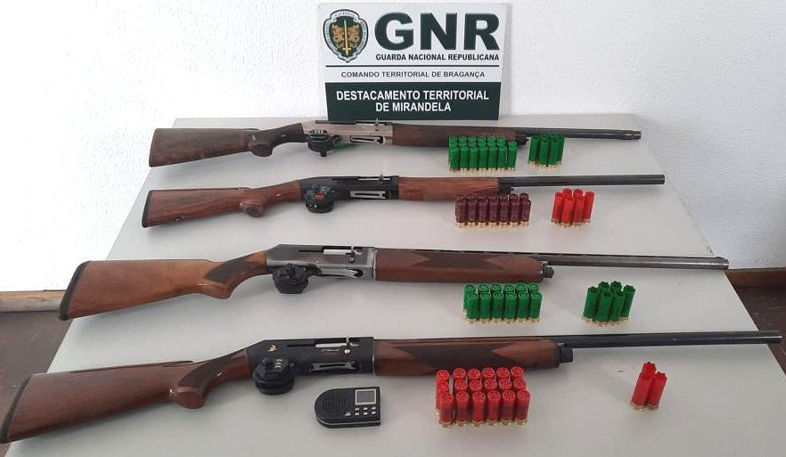Cinco detidos por caça ilegal este domingo em Mirandela