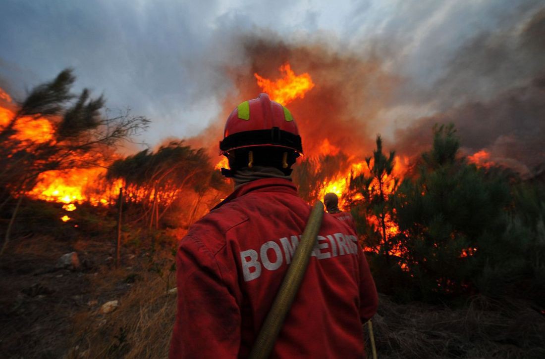 Mogadouro aprova  Plano Municipal de Defesa da Floresta Contra Incêndios