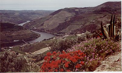 Douro histórico