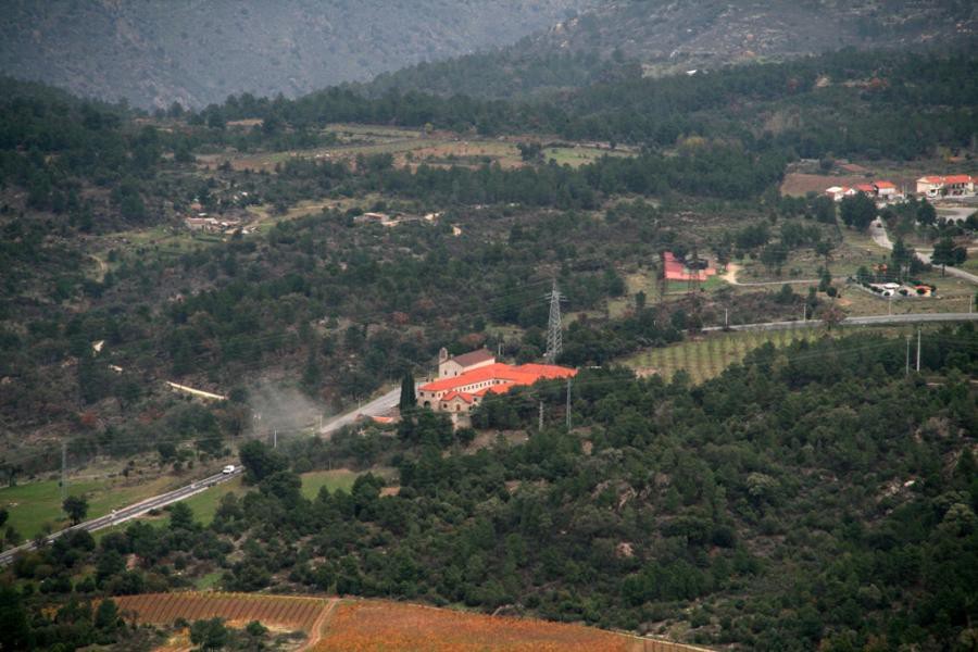 Moncorvo atribui lenha do perímetro florestal do Reboredo aos munícipes