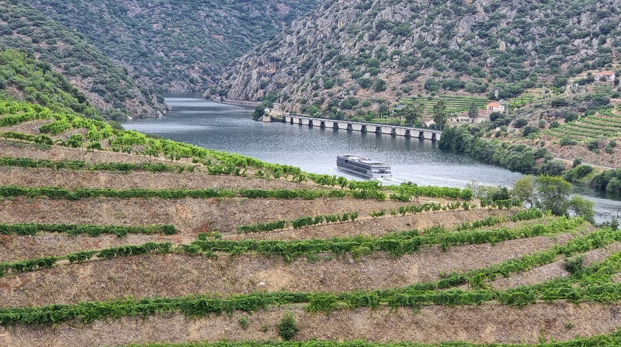 Recuperados cerca de 500 quilómetros de muros de xisto no Douro em 20 anos