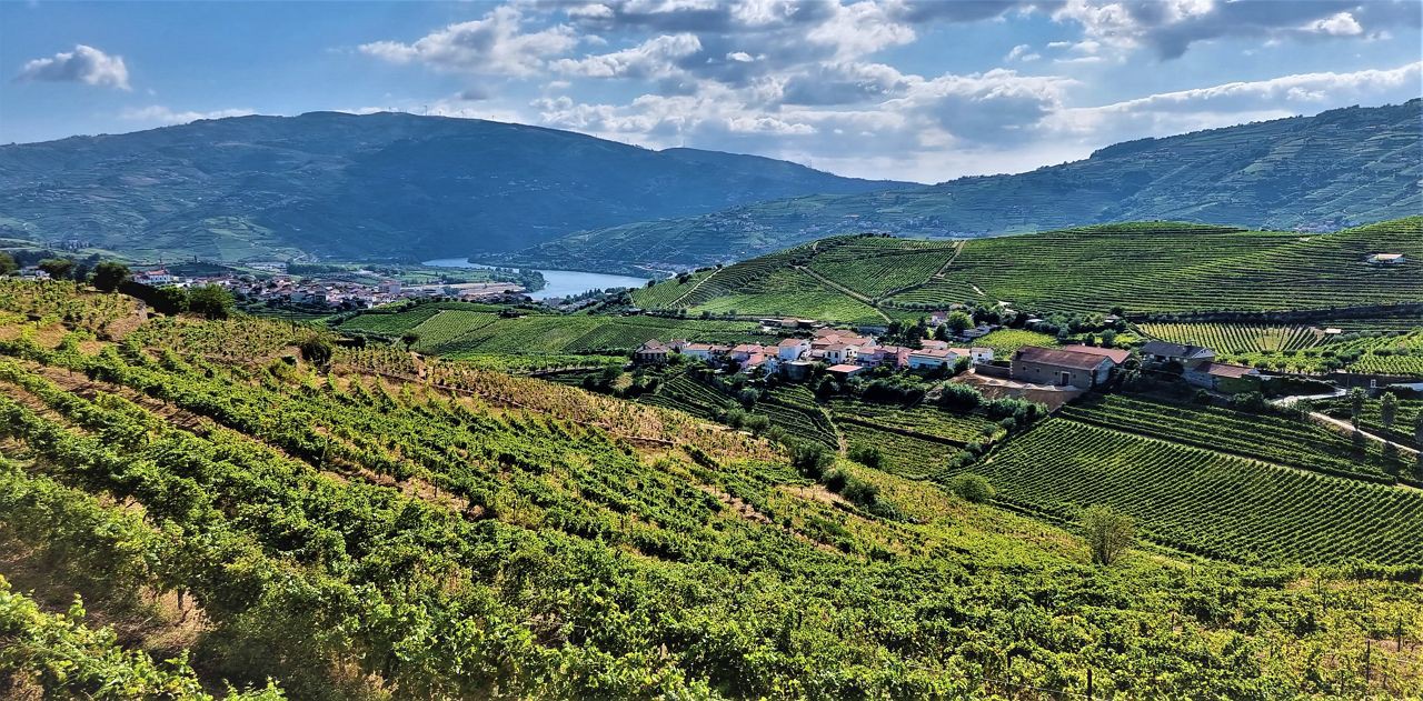 Comemorações dos 20 anos do Douro Património Mundial arrancam a 14 de dezembro