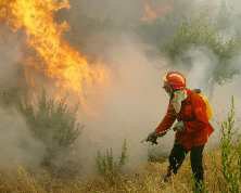 Incêndios ateados por mãos criminosas