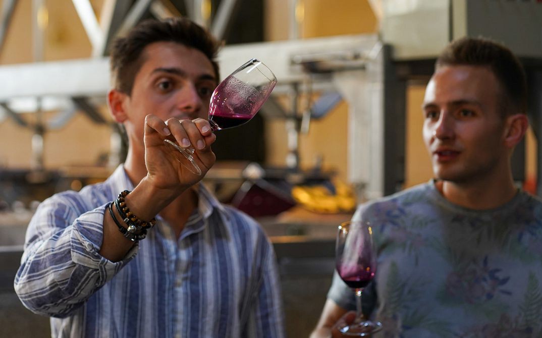IVDP organiza provas comentadas de vinho do Porto ‘online’ em 11 países