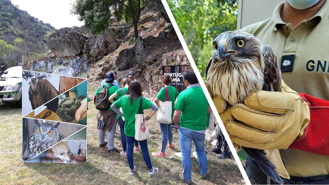 Parque do Tua forma guias de observação de aves