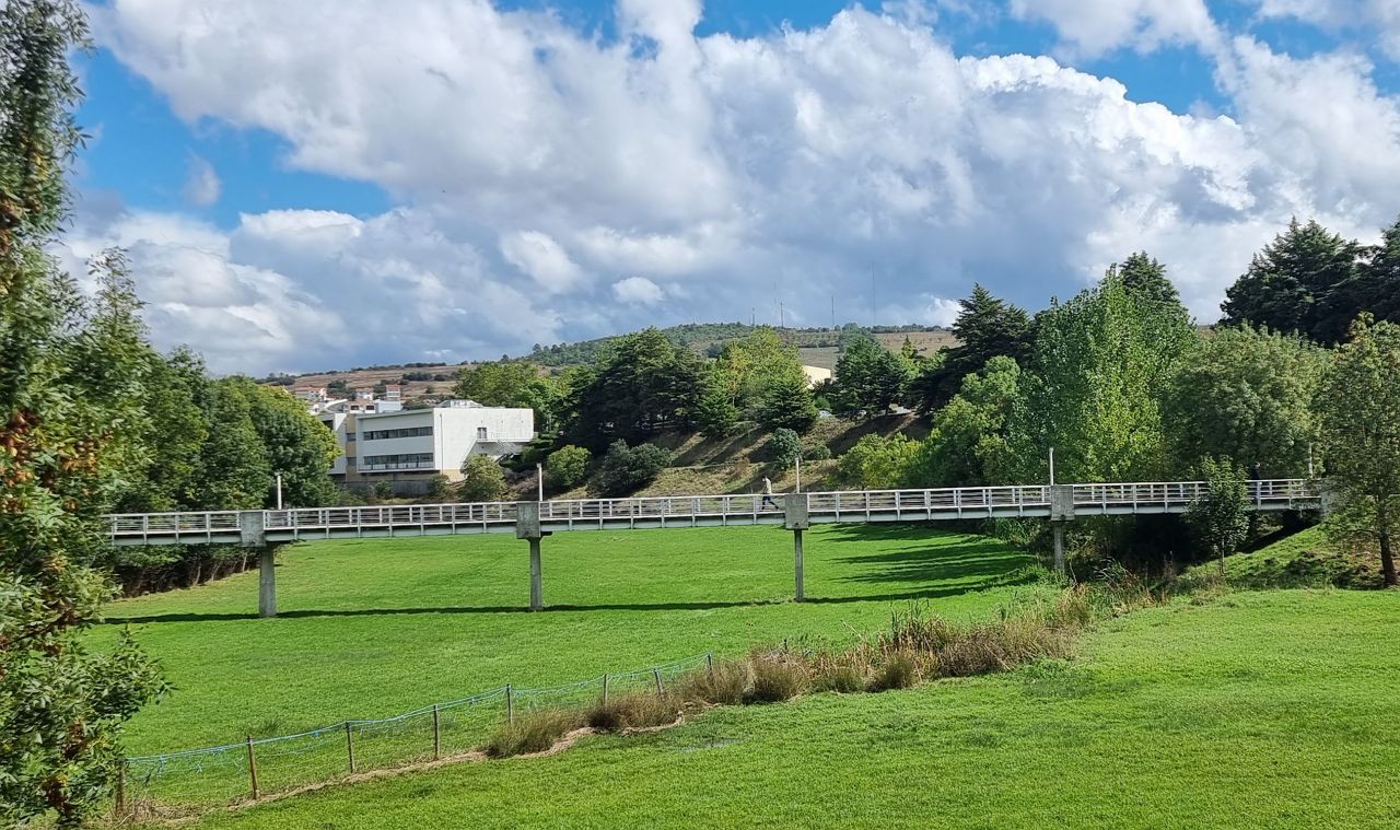 Instituto Politécnico de Bragança coloca mais 557 alunos 