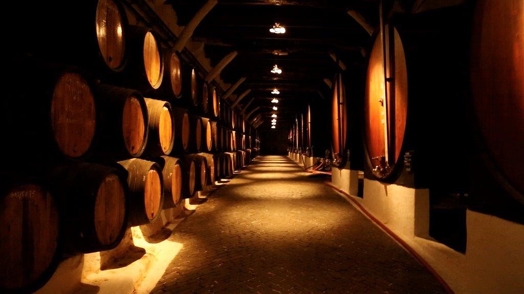 Comissão Administrativa da Casa do Douro coloca à venda 26 pipas de vinho