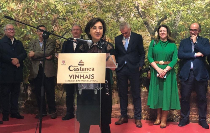 Ministra da Agricultura quarta-feira no parlamento para audição sobre Carla Alves