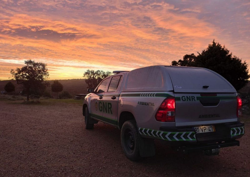 GNR deteve "em flagrante" dois homens por caça com meios proibidos