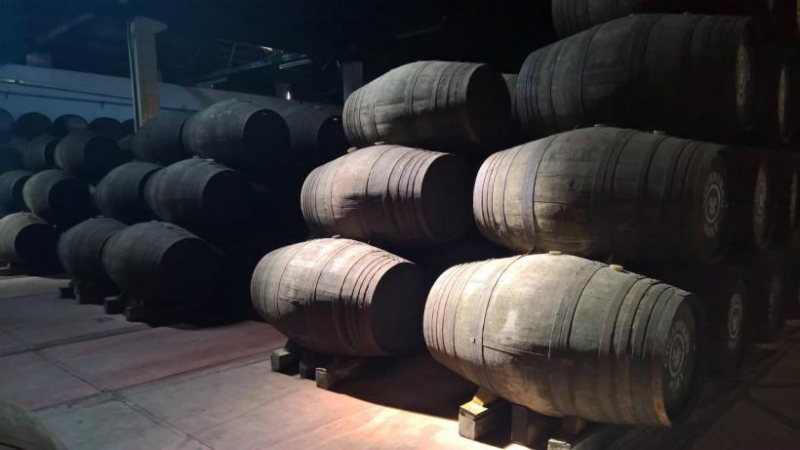 Douro colheu 234 mil pipas de vinho em 2022 com quebra inferior à estimada