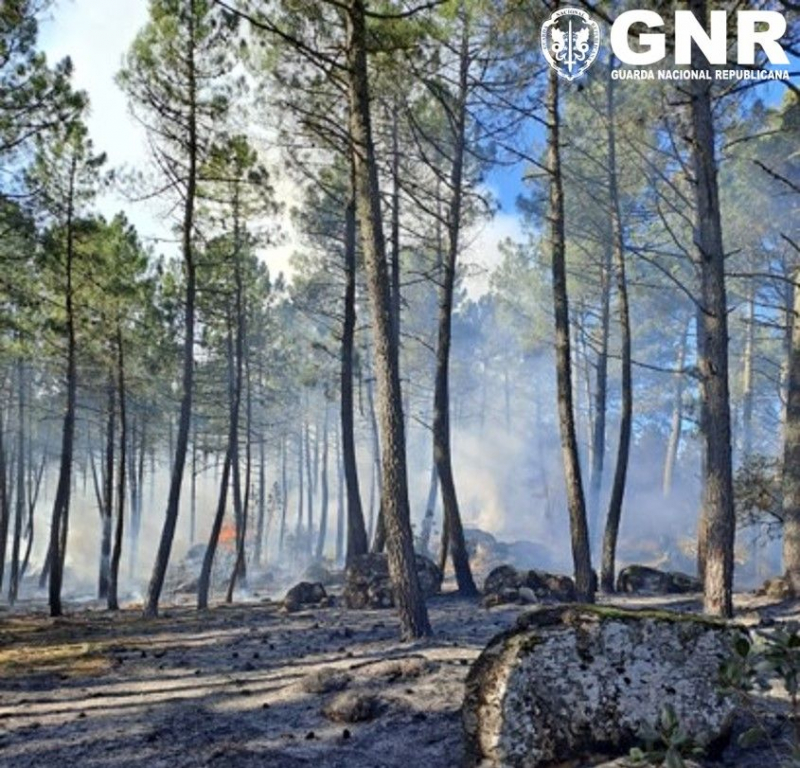 Septuagenário arguido por incêndio florestal em Vila Pouca de Aguiar