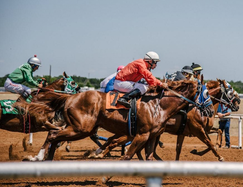 baixar app esportes da sorte