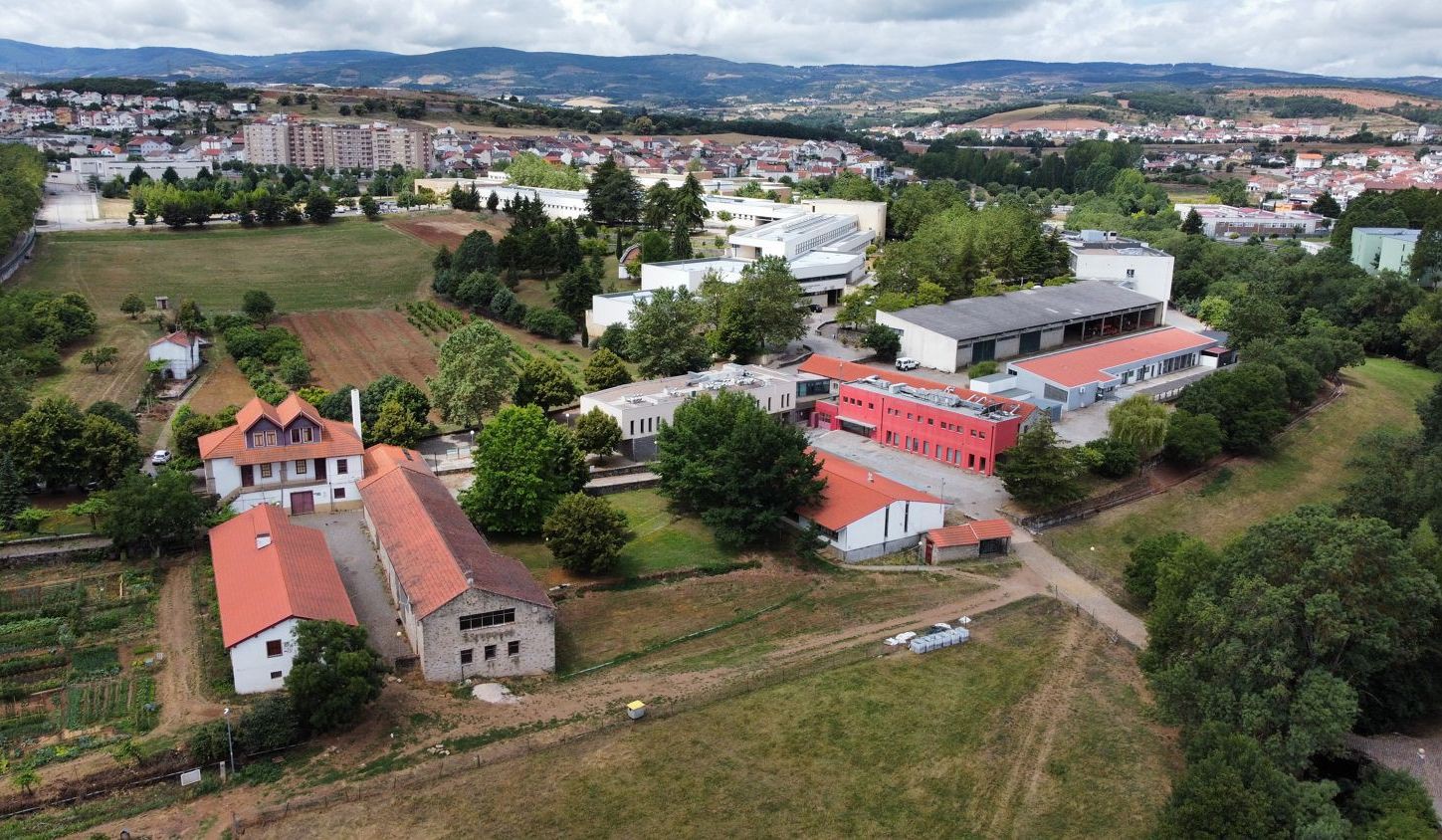 Politécnico de Bragança coloca 1074 alunos na primeira fase, cresce 5%