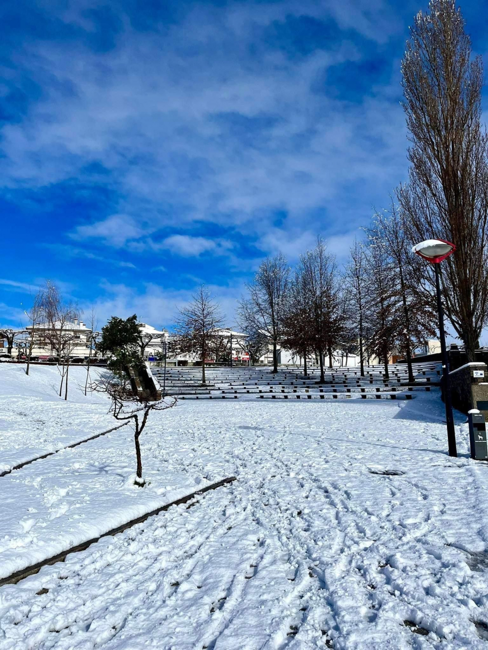 Neve obrigou a encerrar escolas e condicionou ligações viárias em Mogadouro