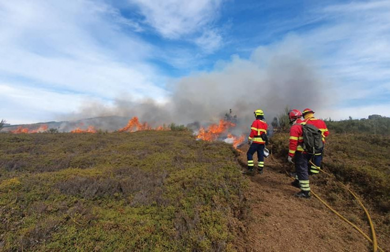 Bombeiros alemães aprendem a combater fogos florestais em Vila Real