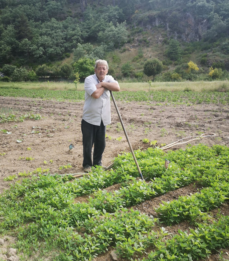 Património Agrícola Mundial faz 5 anos e Boticas lembra ameaça ao Barroso