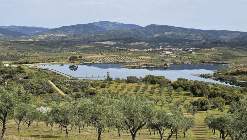 Barragens entre “90 a 100%” asseguram campanha de rega em Trás-os-Montes