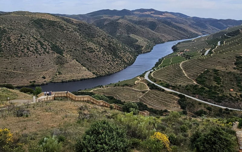 Abertura da linha Pocinho-Barca d’ Alva pode aumentar visitantes ao Museu do Côa - estudo