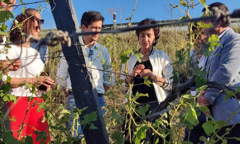 Ministra da Agricultura atenta aos estragos em Foz Côa