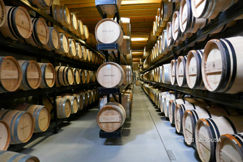 Douro transforma 104 mil pipas em vinho do Porto, menos que em 2022