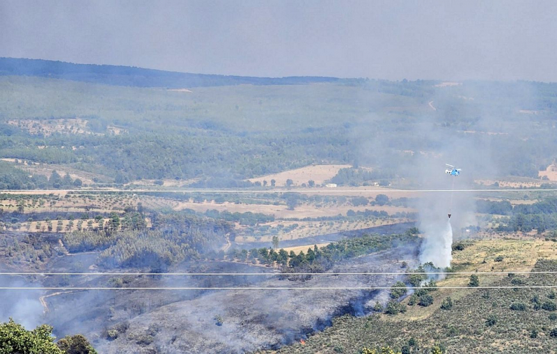 Mais de 100 bombeiros e 8 meios aéreos combatem chamas em Vimioso