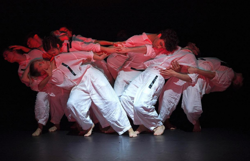 Festival celebra dança contemporânea com seis espetáculos em Vila Real