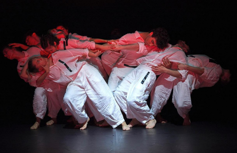 Festival celebra dança contemporânea com seis espetáculos em Vila Real