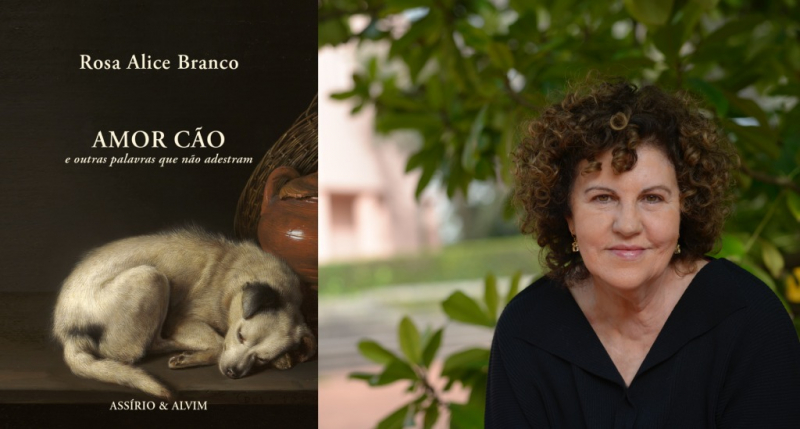 Escritora Rosa Alice Branco distinguida com Prémio Literário António Cabral 2023