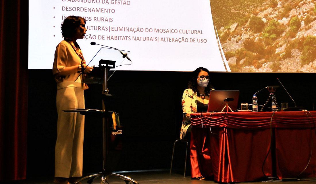 Áreas de Gestão de Paisagem são instrumento de valorização do mundo rural