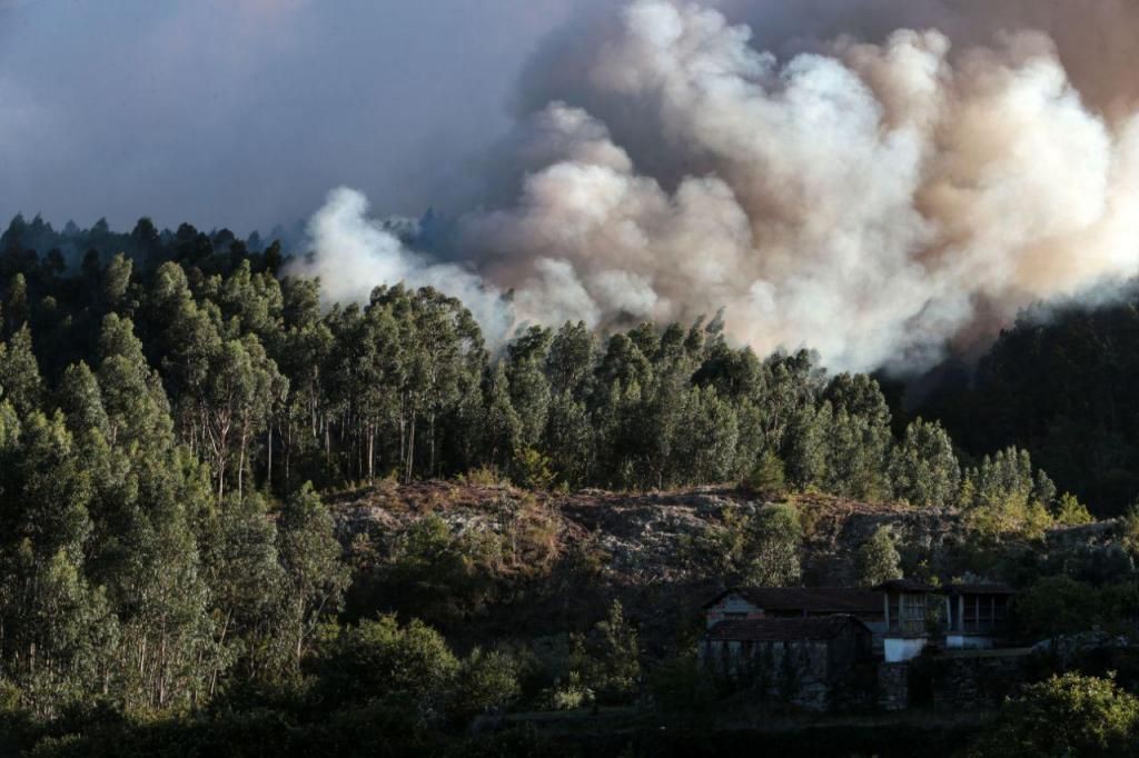 Cem operacionais combatem incêndio em Vila Pouca de Aguiar