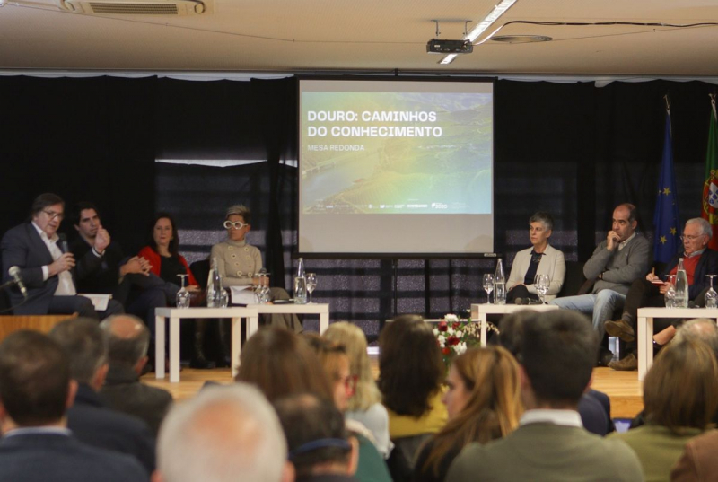 Prémio Vinha Douro atribuído a quintas de São João da Pesqueira e Lamego